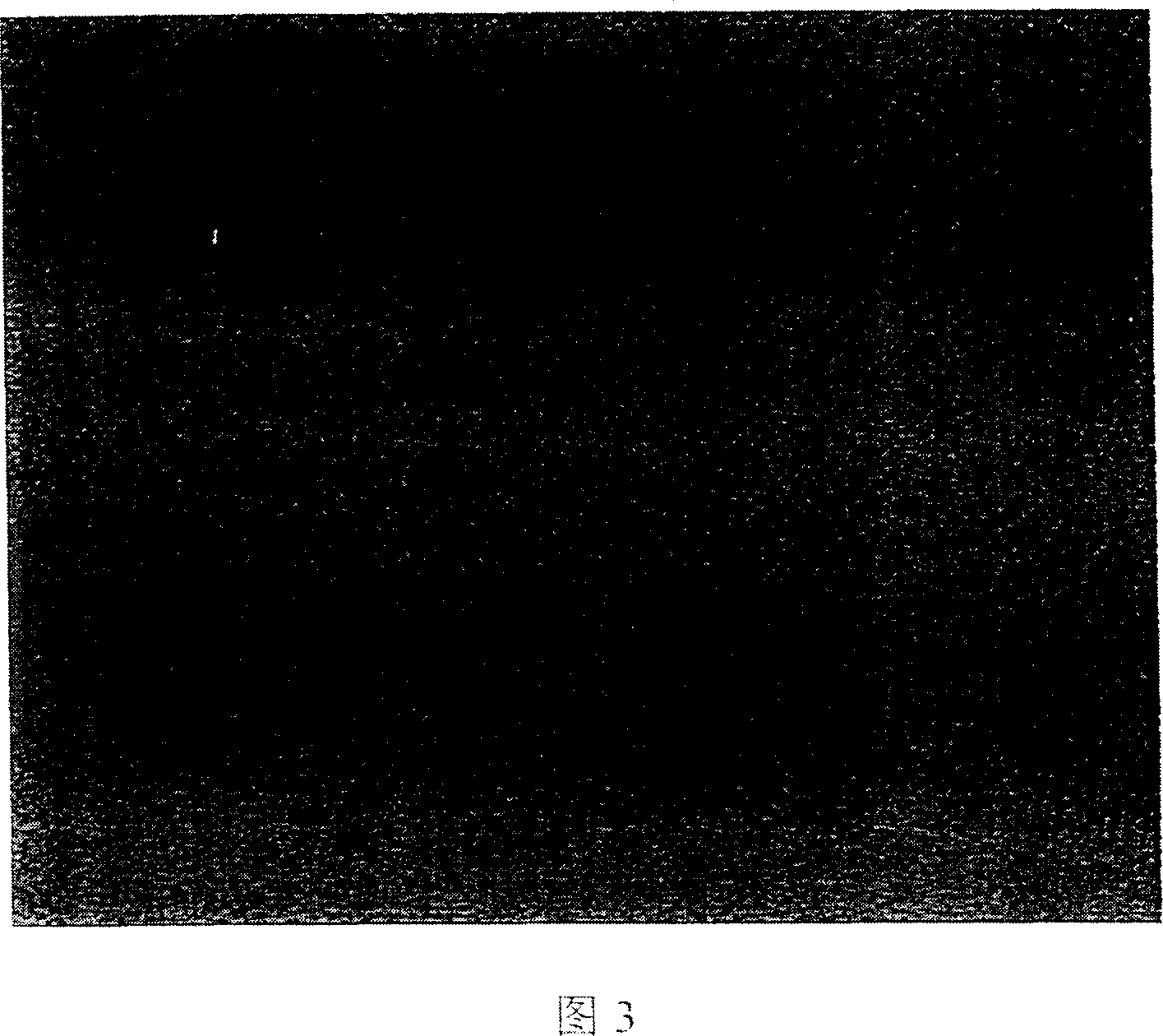 Luminous microsphere and its production method and water dispersion system