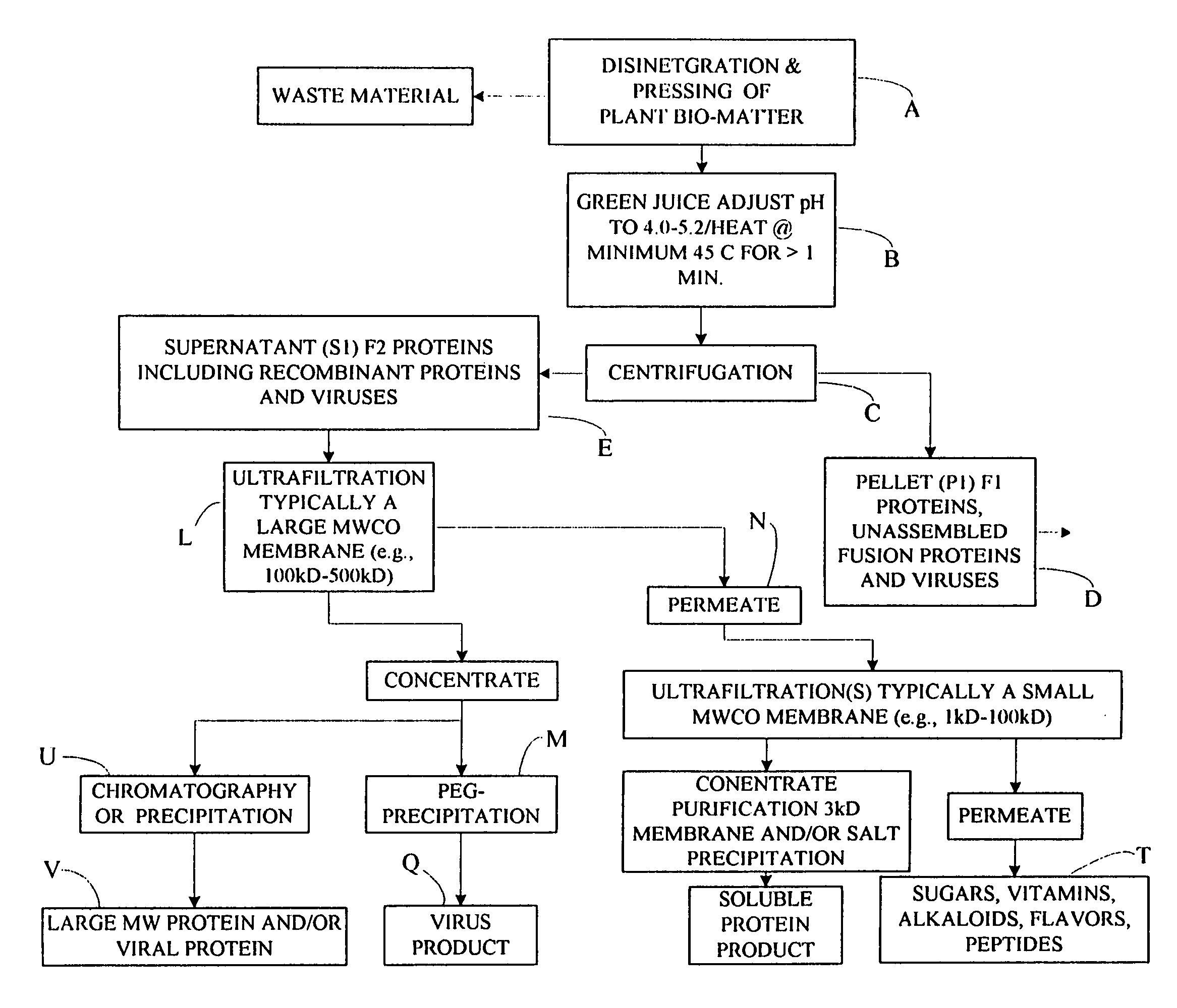 Flexible processing apparatus for isolating and purifying viruses, soluble proteins and peptides from plant sources