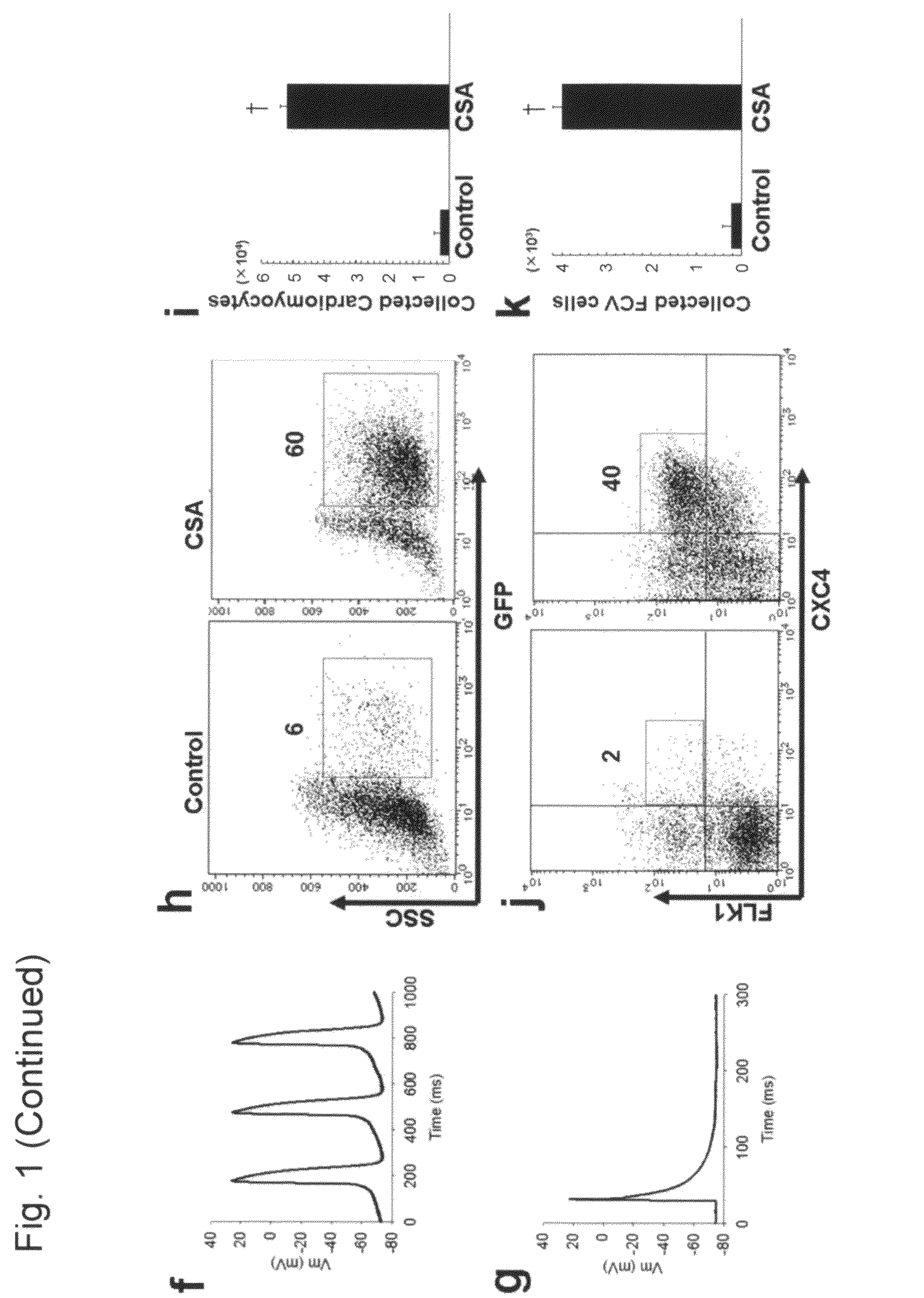 Efficient production and use of highly cardiogenic progenitors and cardiomyocytes from embryonic and induced pluripotent stem cells