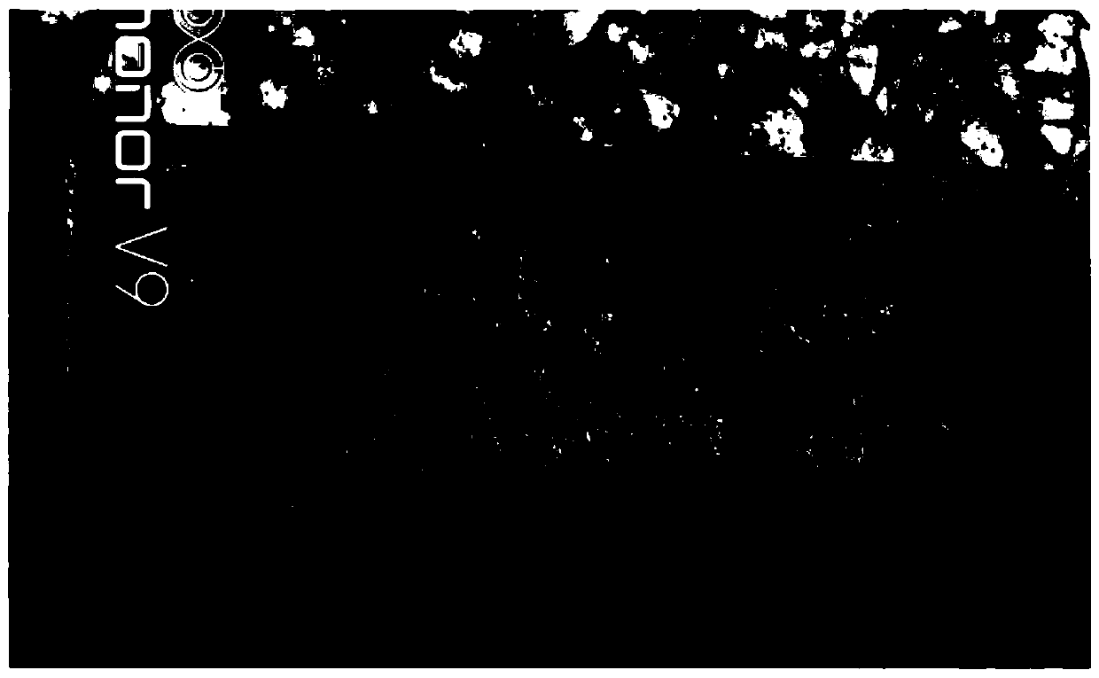 Ceramic shell preparation method for ameliorating physical sand burning of high-temperature alloy directional solidified casting