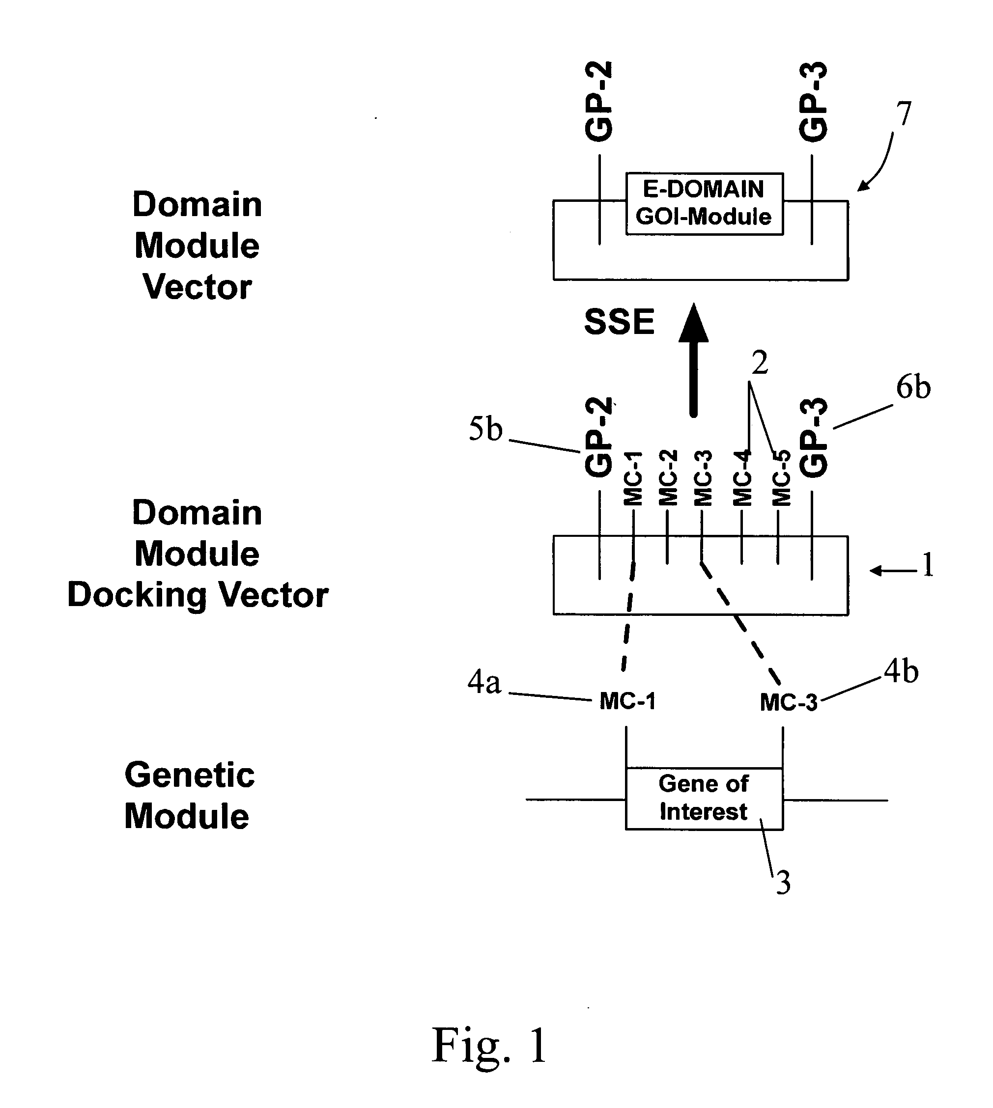 DNA modular cloning vector plasmids and methods for their use