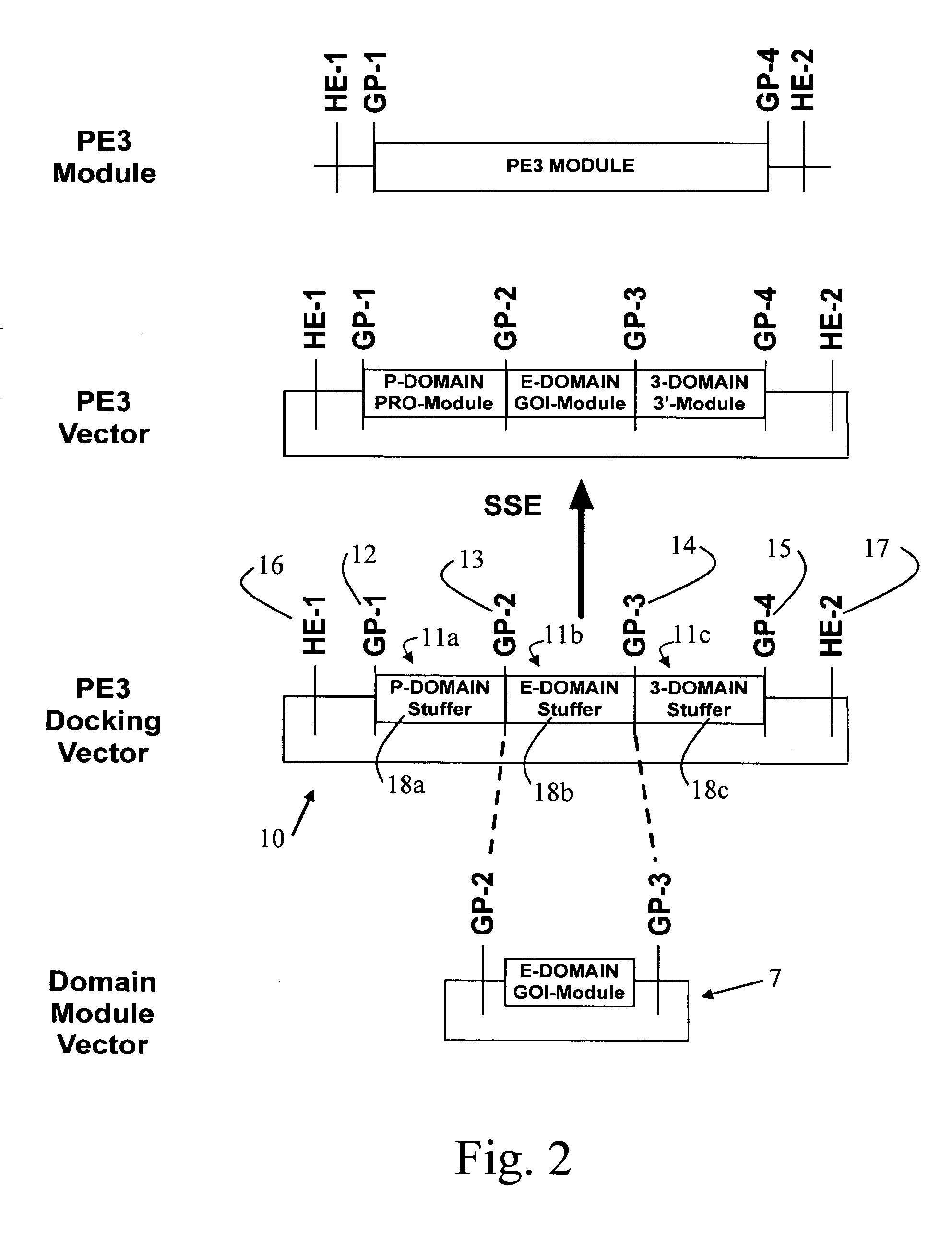 DNA modular cloning vector plasmids and methods for their use