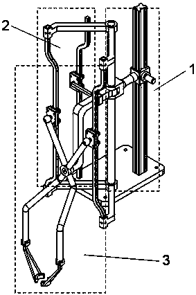 A special seed metering device for taro