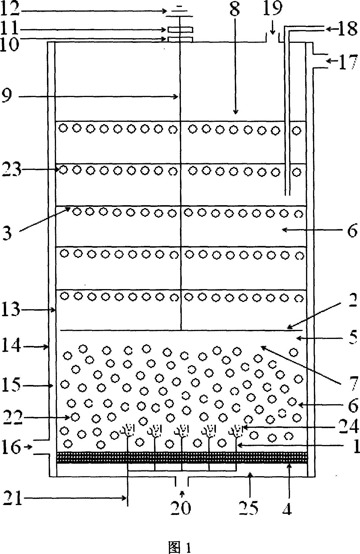 Gas-liquid mixed discharge process and apparatus for degrading organic pollutant in water