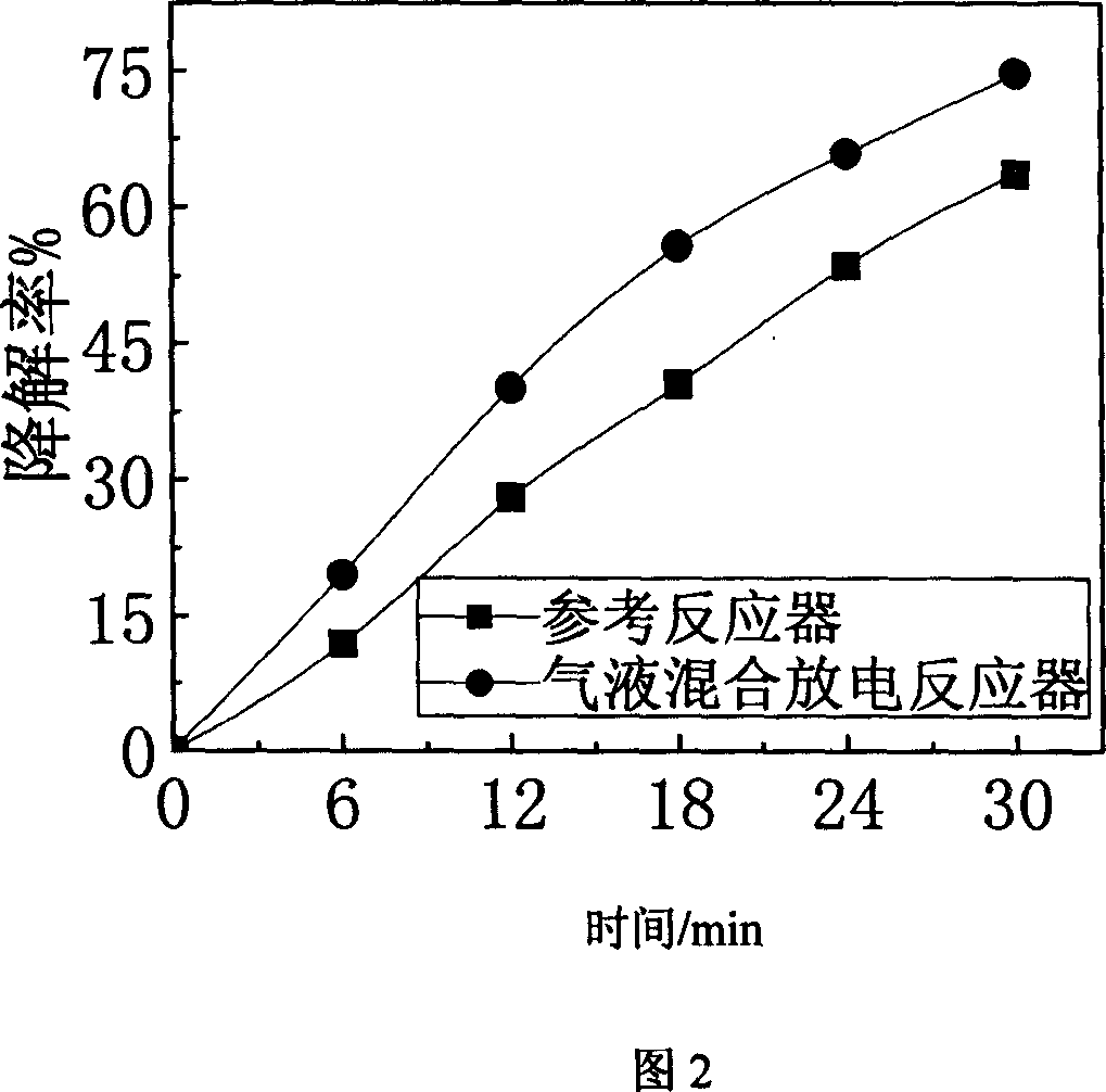 Gas-liquid mixed discharge process and apparatus for degrading organic pollutant in water