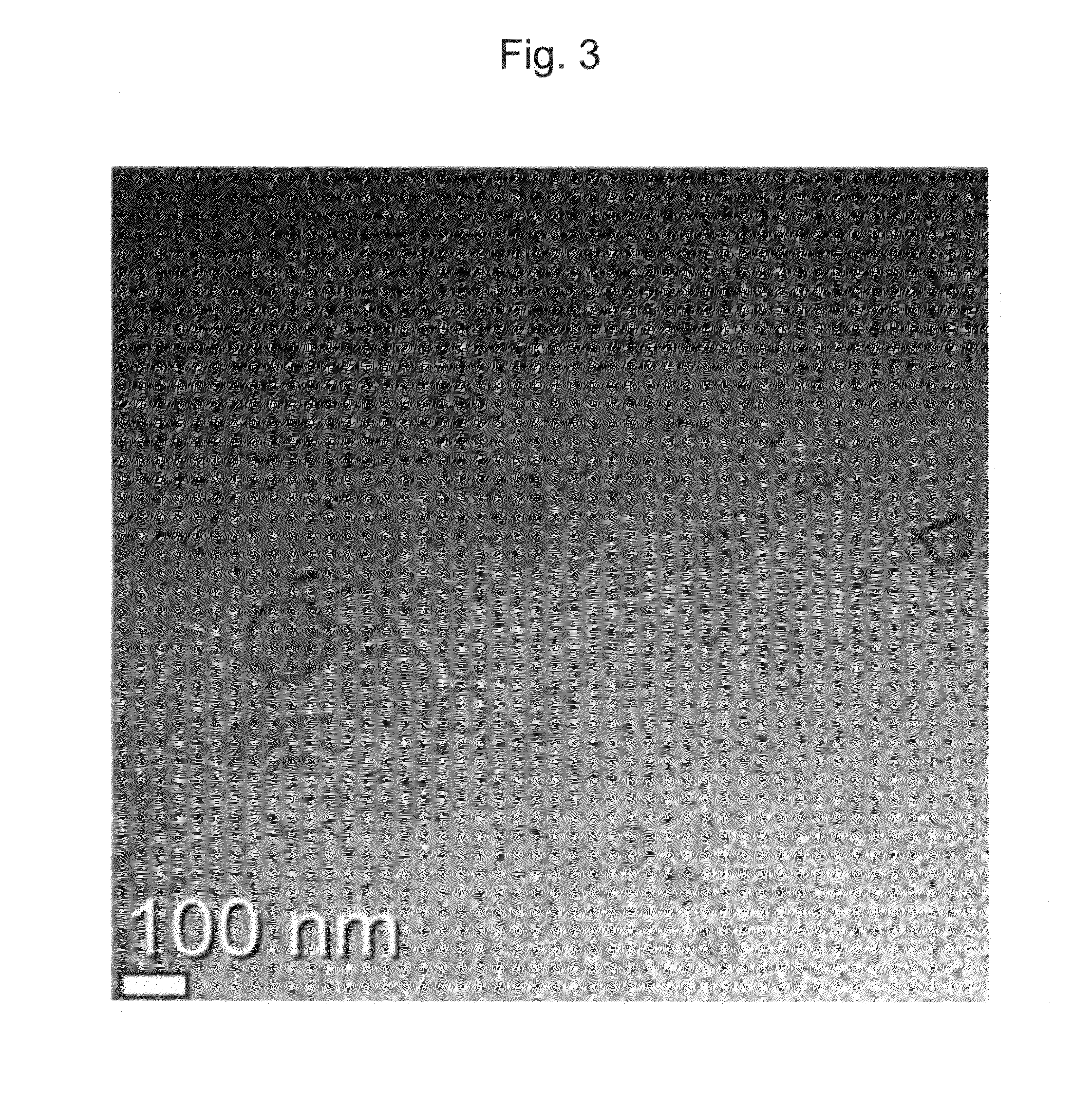 Method for preparing nanoemulsion