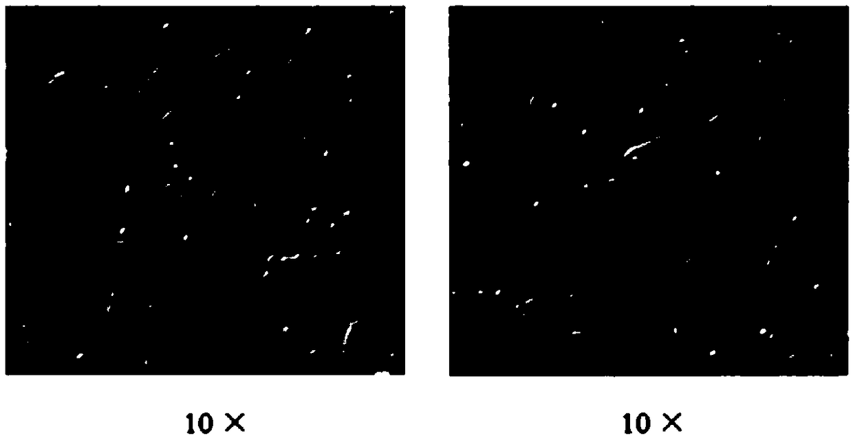 Non-genetically modified light control bidirectional regulation method for human umbilical cord mesenchymal stem cell proliferation