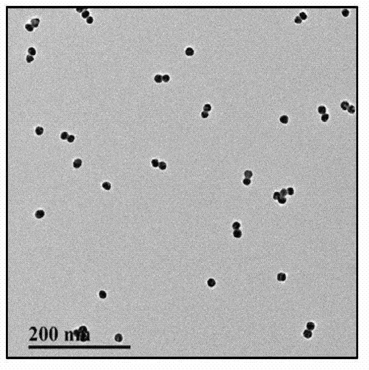 Method for detecting L-cysteine concentration by applying of circular dichroism