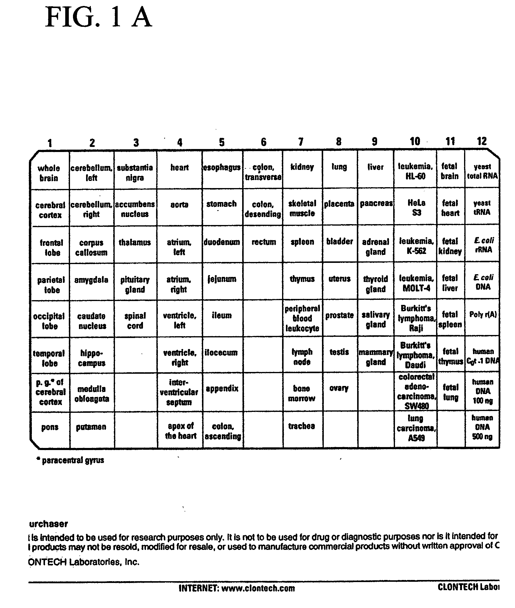 Epithelial cell growth inhibitors