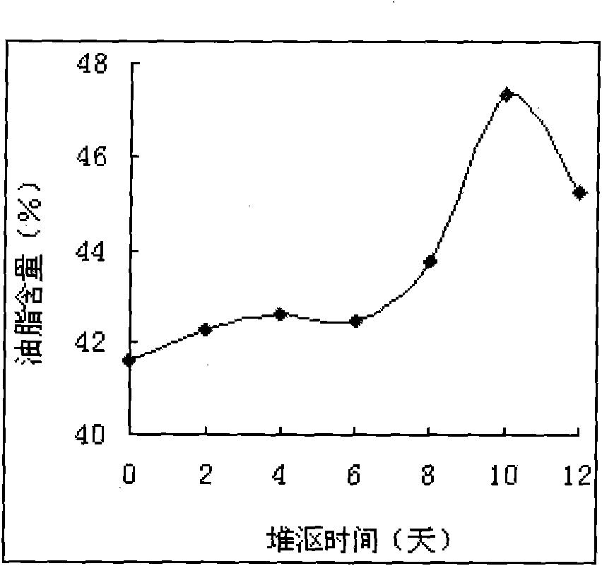 Method for preparing edible safflower tea oil