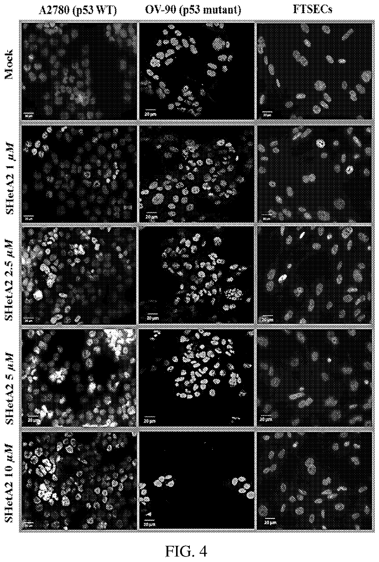 Combination cancer therapies