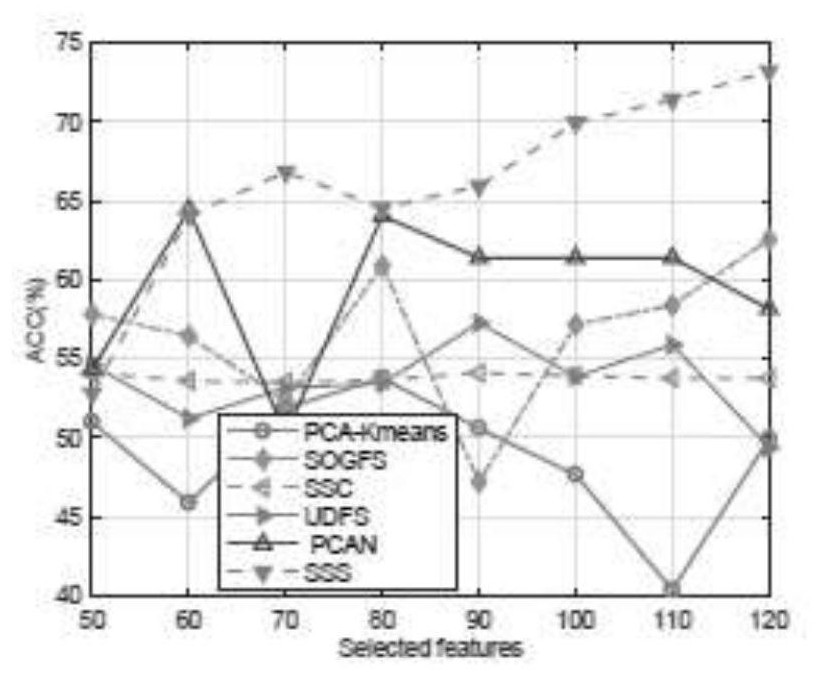 Sparse self-representation subspace clustering algorithm for self-adaptive local structure embedding