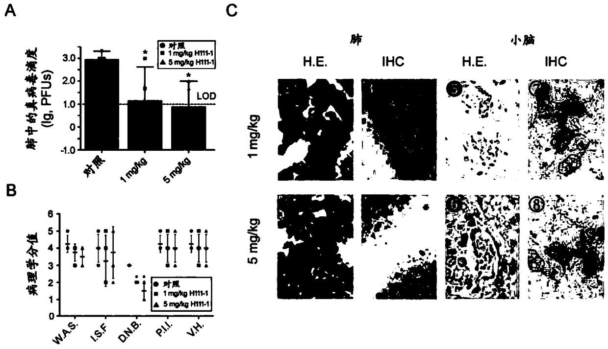 Pseudo MERS-CoV virus of infected animal, and preparation method and application thereof