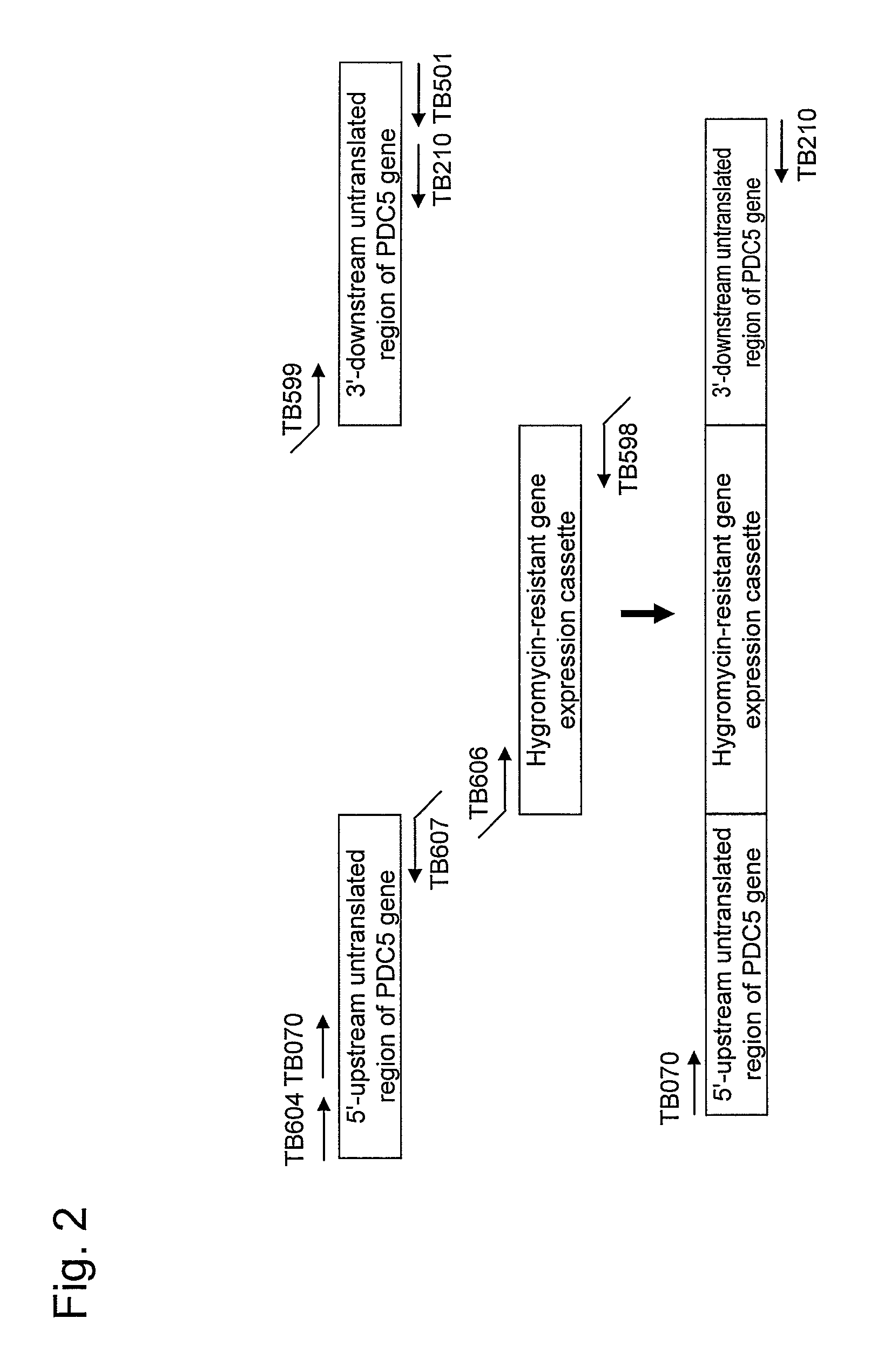 Yeast mutant and substance production method using the same