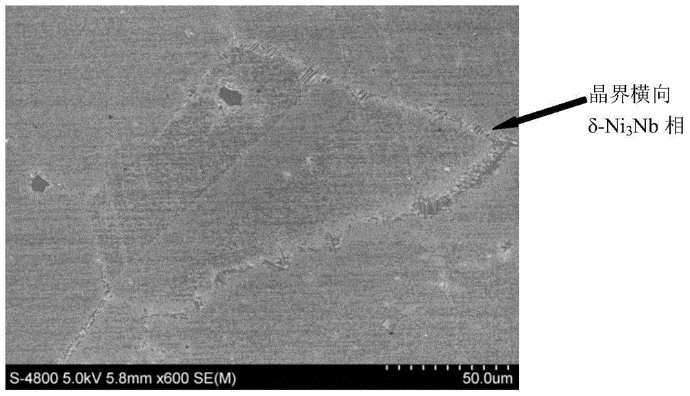 Used to observe the δ-Ni in the nickel-iron-based superalloy structure  <sub>3</sub> Metallographic etchant for Nb phase and method of use thereof