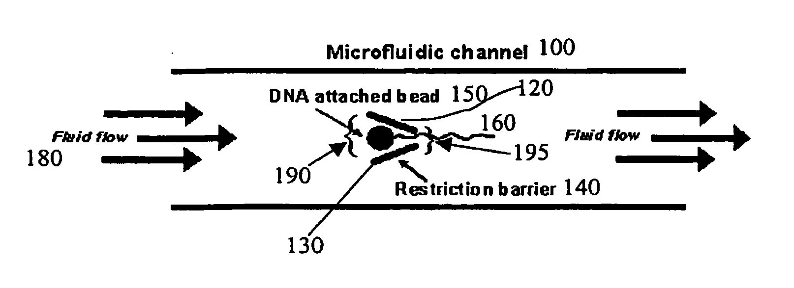 Microfluidic apparatus, systems, and methods for performing molecular reactions