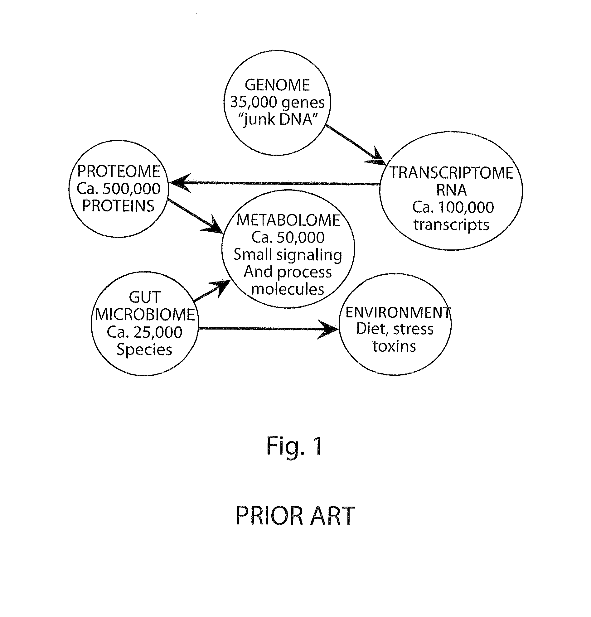 Systems biology approach to therapy