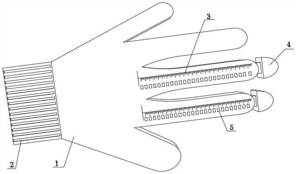 Pelvic organ prolapse measurement system