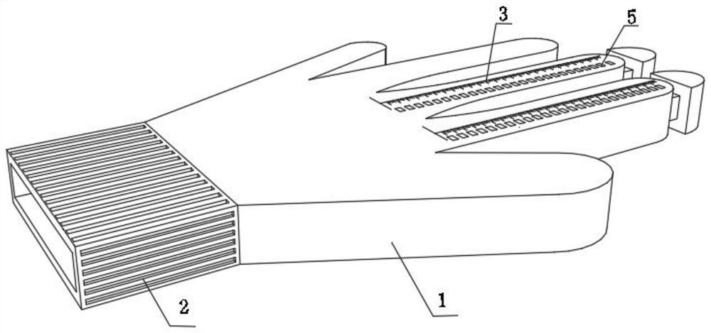 Pelvic organ prolapse measurement system