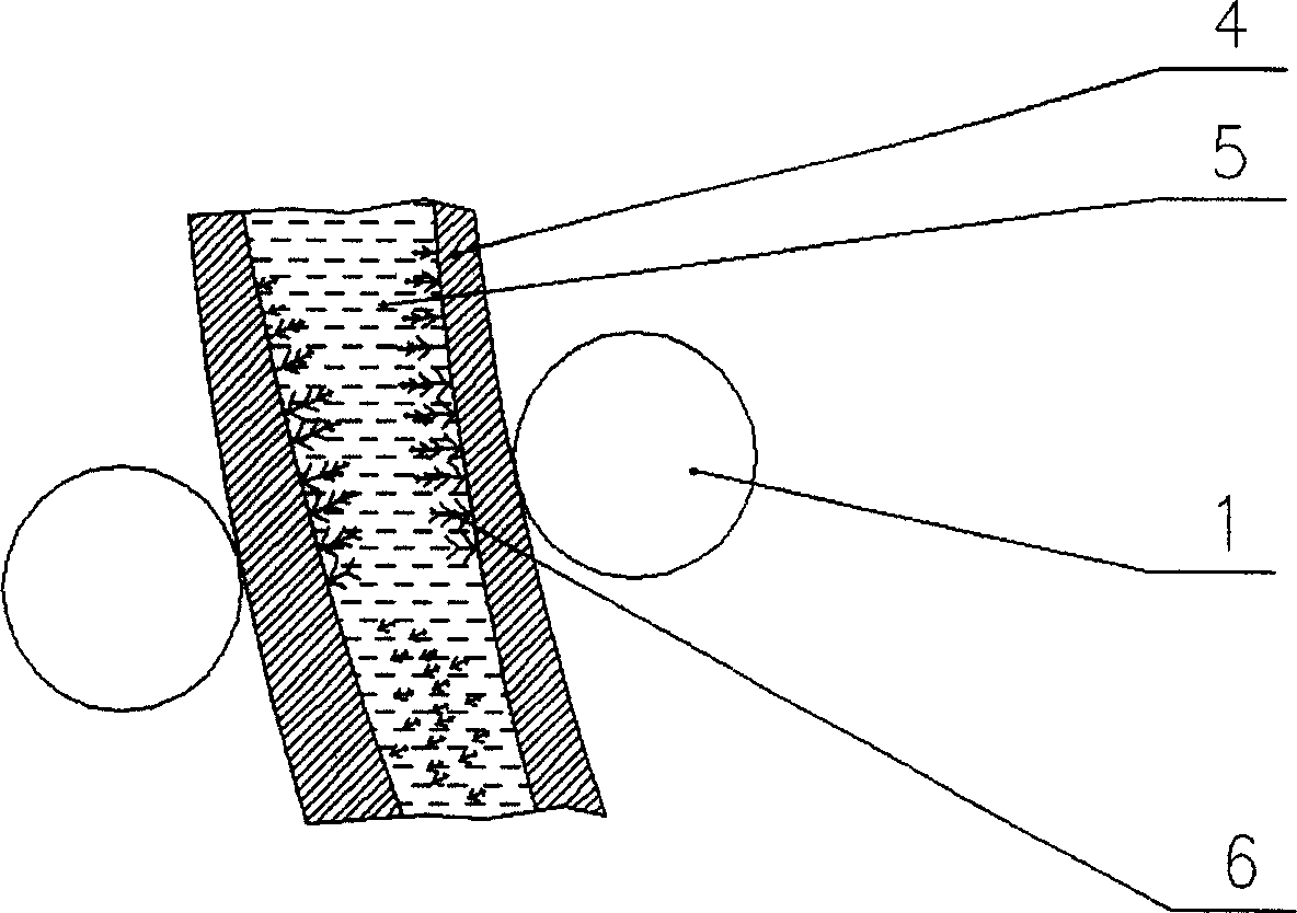 Method for improving continuous casting blank quality and vibration support roller device