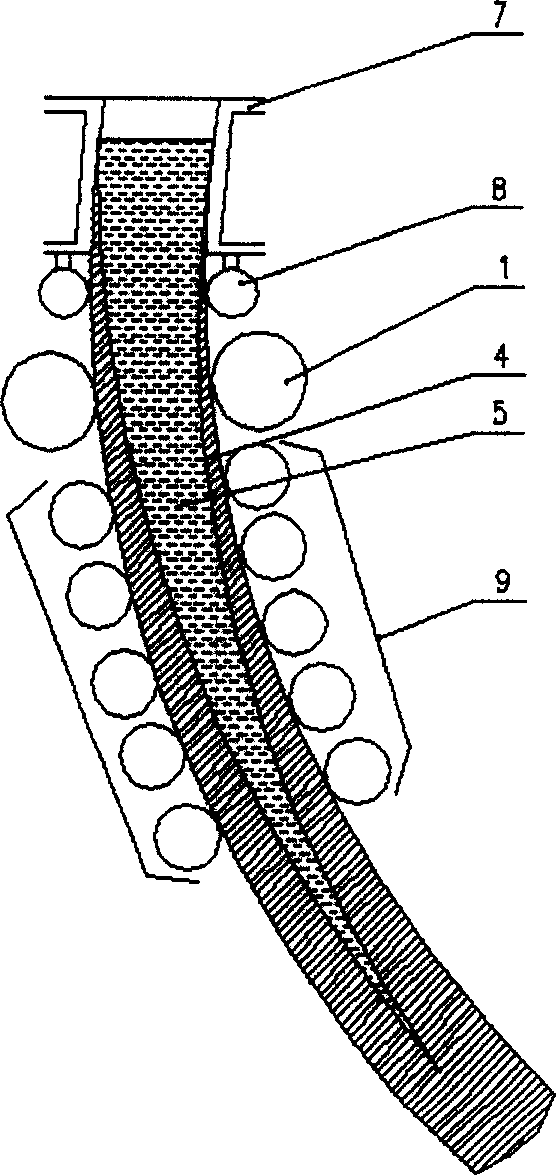 Method for improving continuous casting blank quality and vibration support roller device