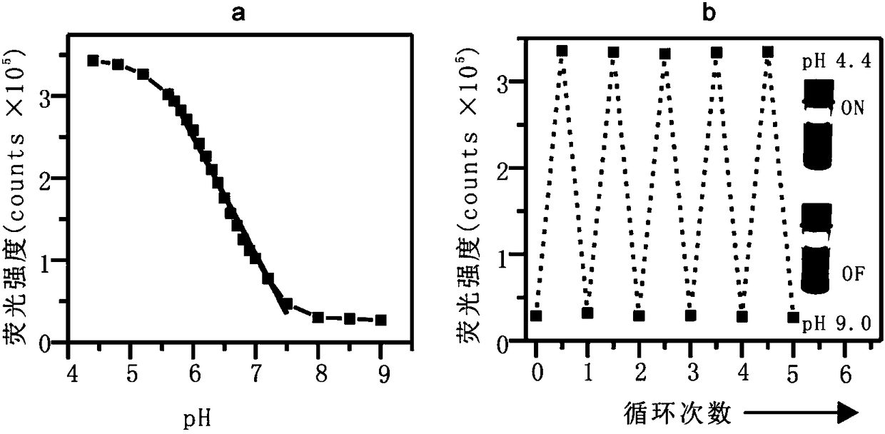 Fluorescent probe for tumor diagnosis and treatment as well as preparation method and application of fluorescent probe