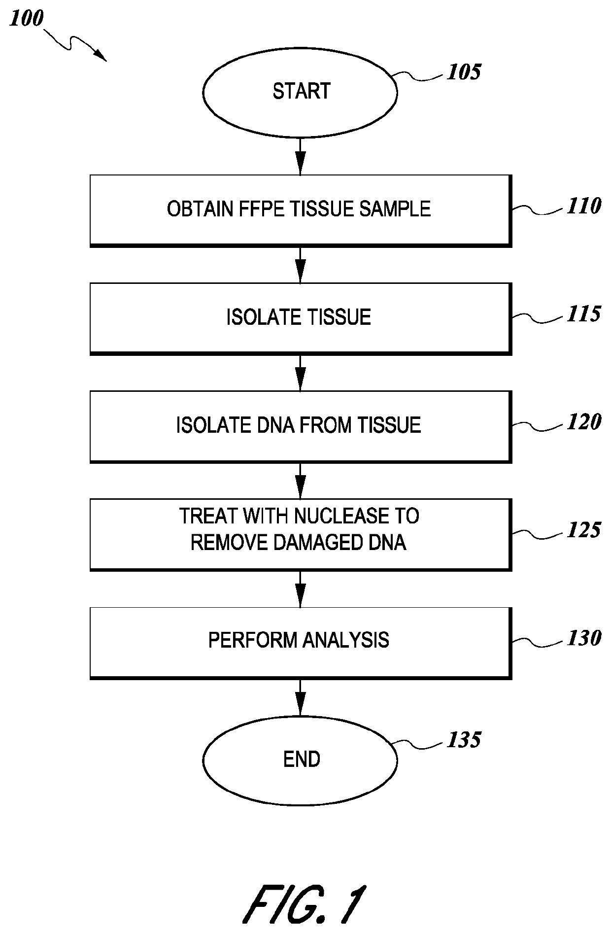 Tissue preparation using nuclease