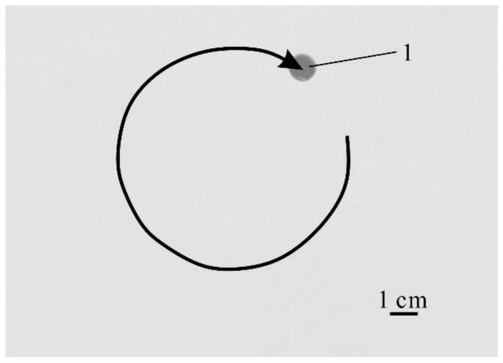 Intelligent hydrogel robot capable of cruising and collecting plastic pollutants on water surface and preparation method of robot