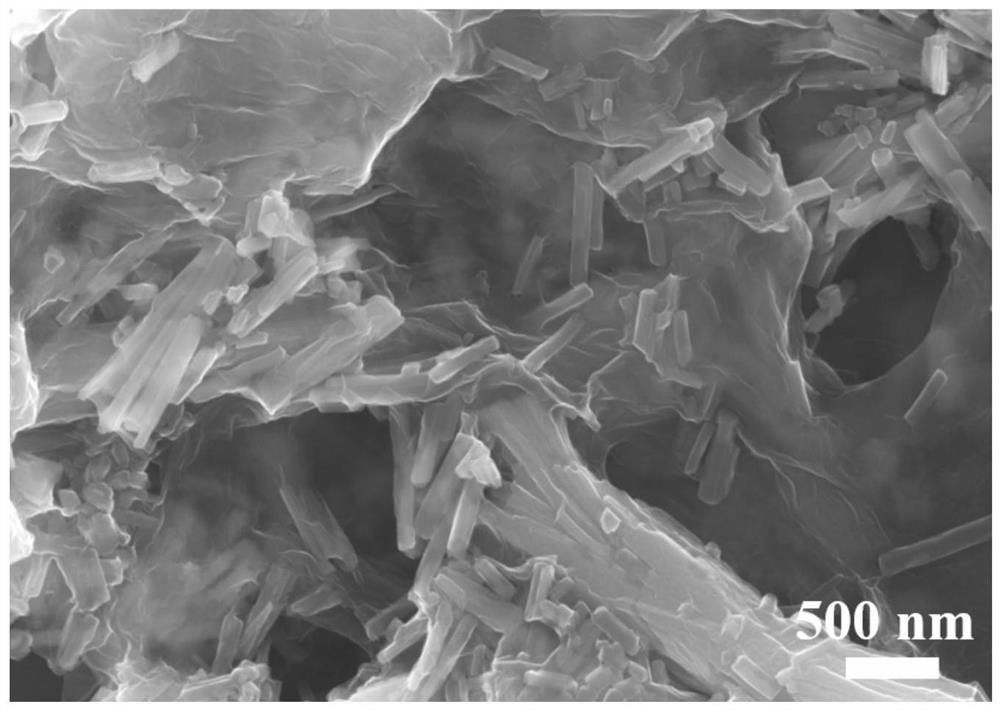 Composite modified diaphragm for lithium-sulfur battery and preparation method of composite modified diaphragm