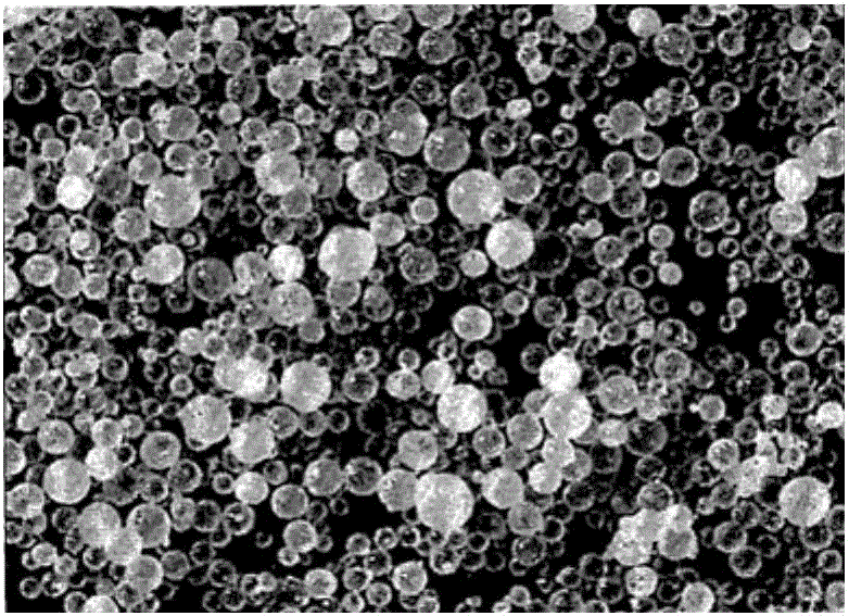 Olefin polymerization method