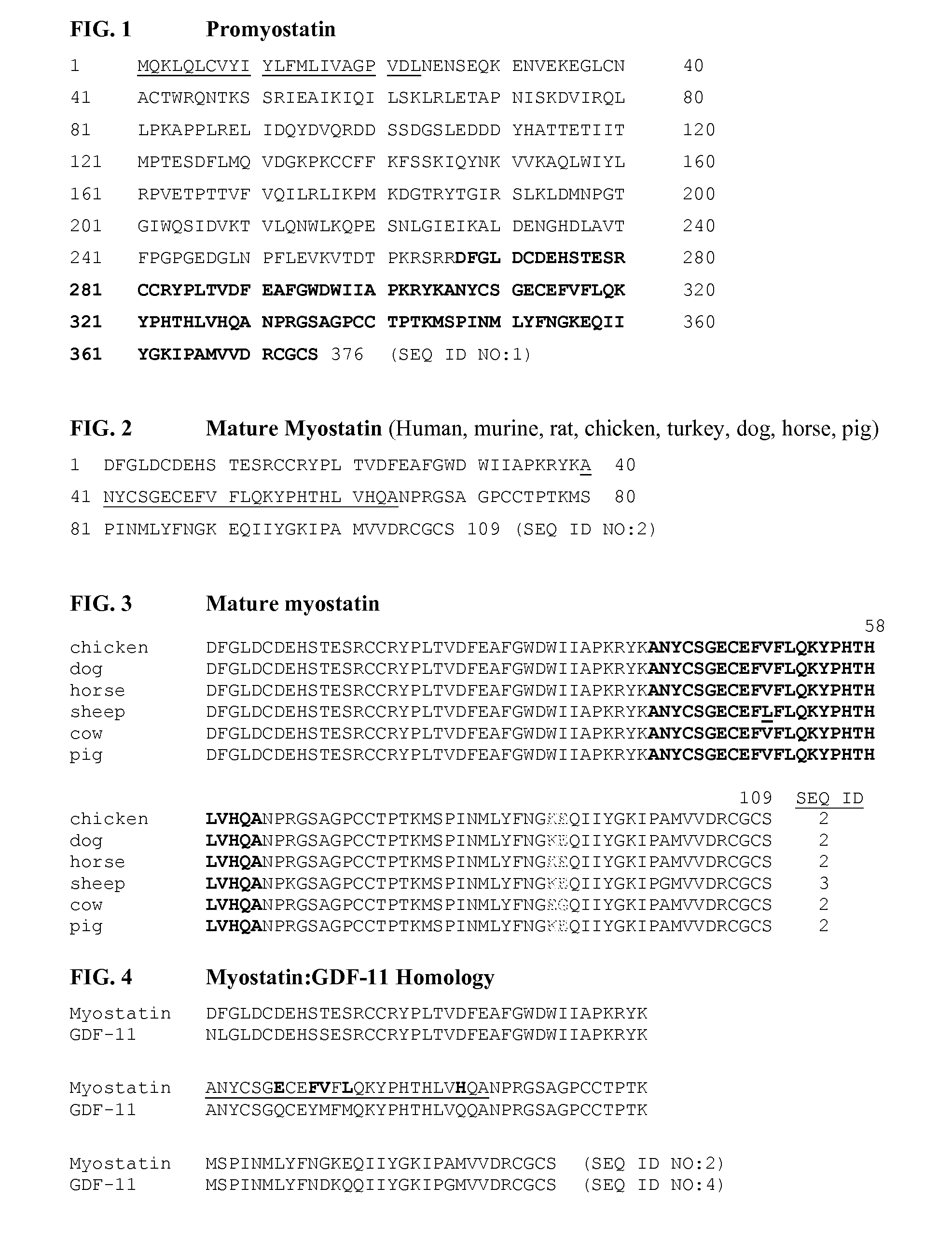 Anti-myostatin antibodies