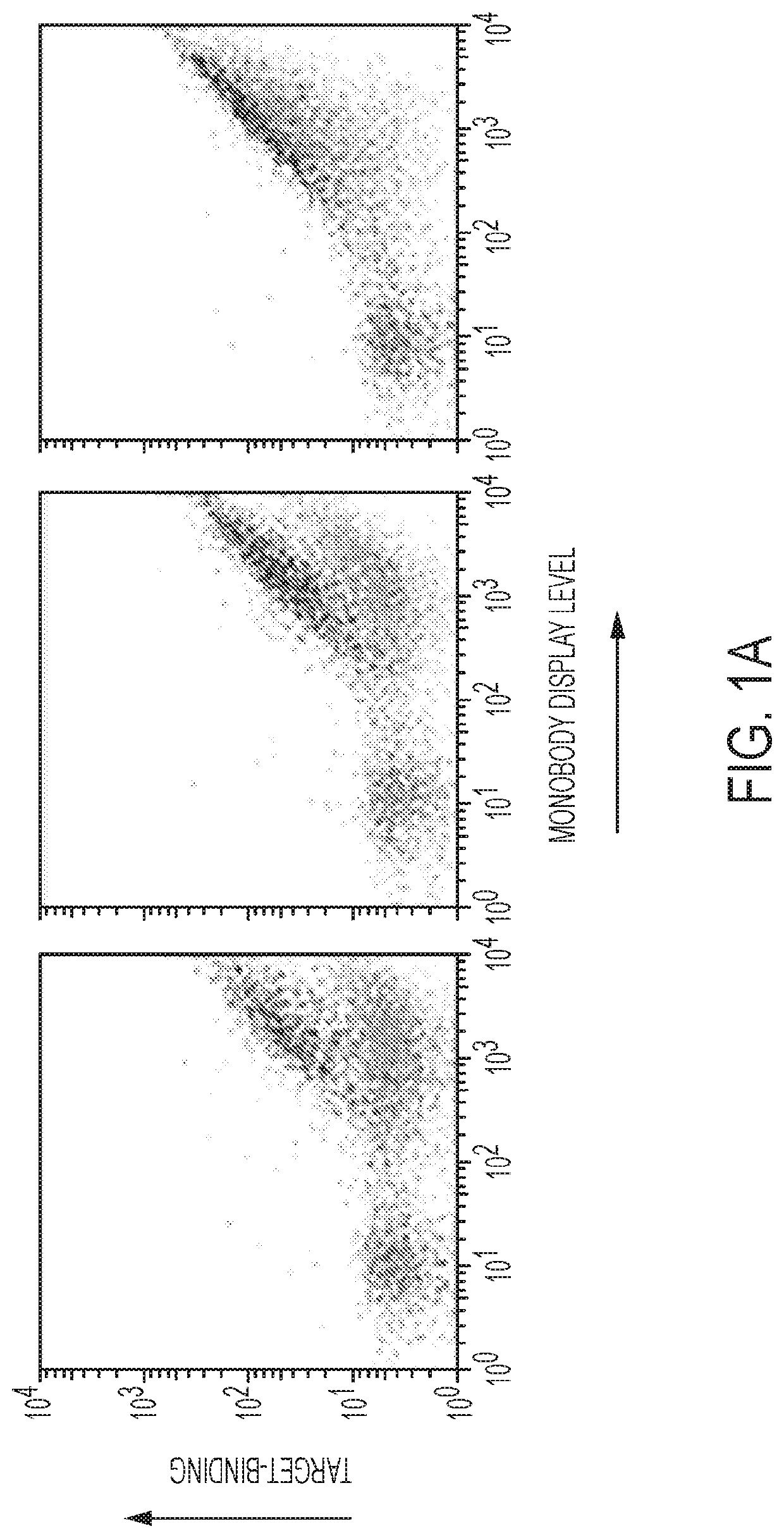 Compositions and methods for modulating kinase activity