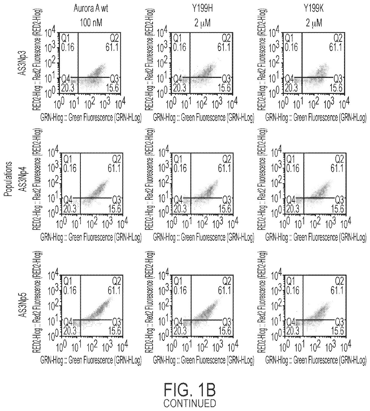 Compositions and methods for modulating kinase activity