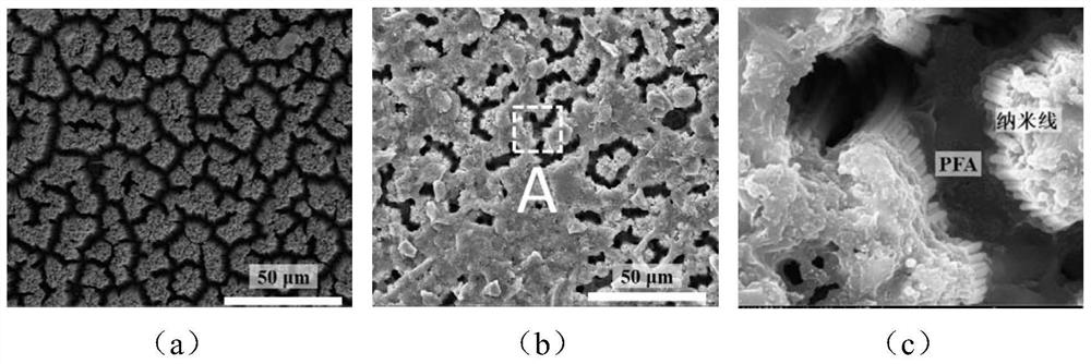 Nanowire-fluorocarbon composite coating and preparation method thereof