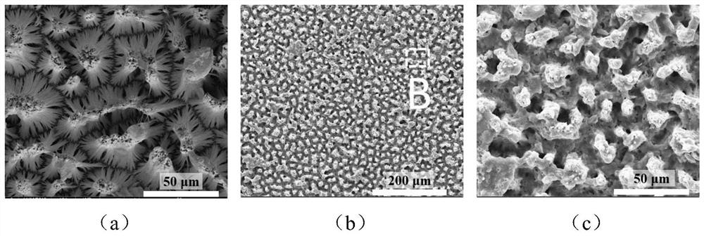 Nanowire-fluorocarbon composite coating and preparation method thereof