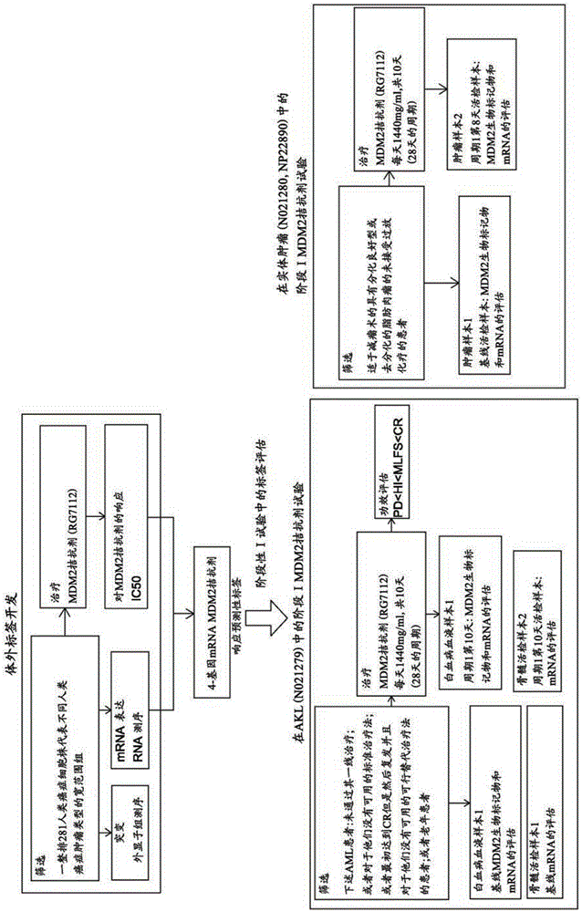 mRNA-based gene expression for personalizing patient cancer therapy with MDM2 antagonist