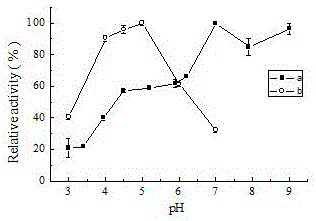 Laccase CotA and application thereof