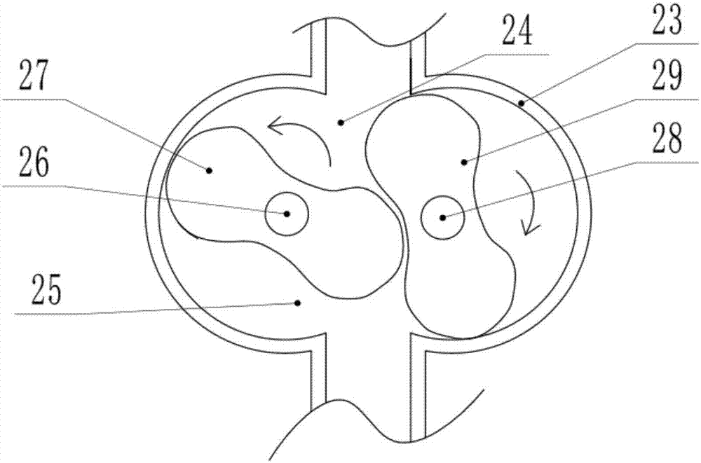 Lead-acid storage battery coloring paste stirring device for preventing blowhole