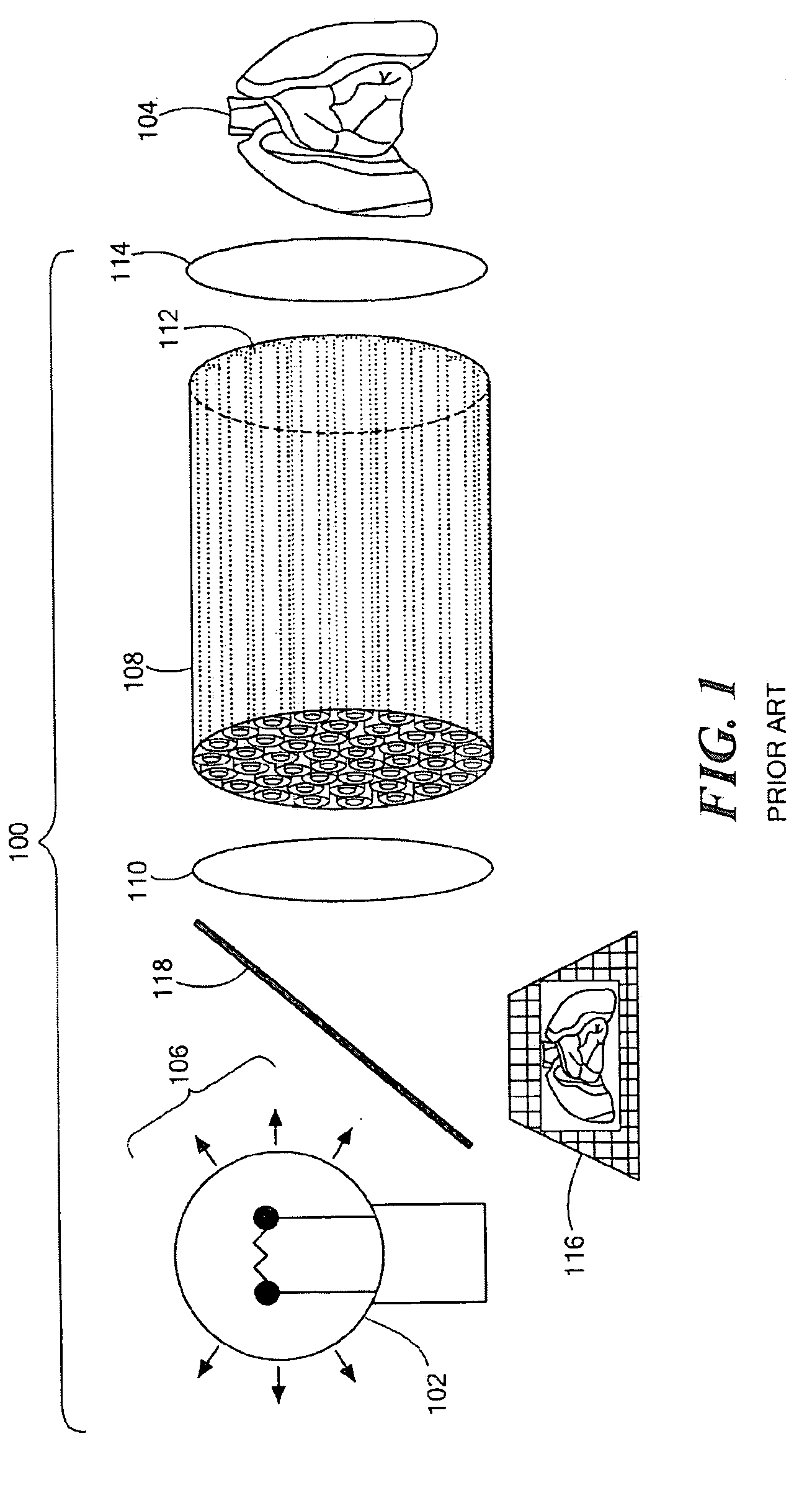 Volumetric endoscopic coherence microscopy using a coherent fiber bundle