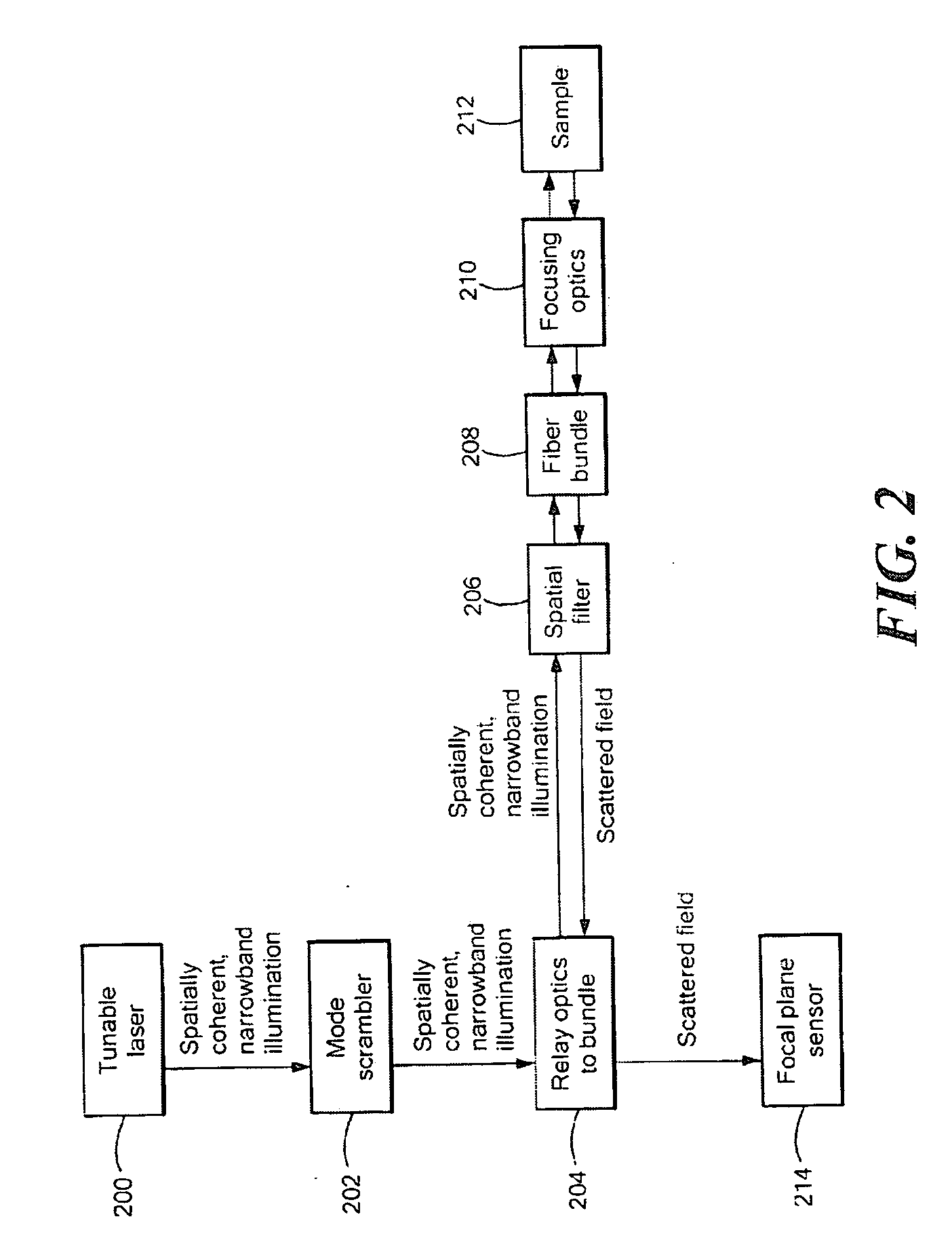 Volumetric endoscopic coherence microscopy using a coherent fiber bundle