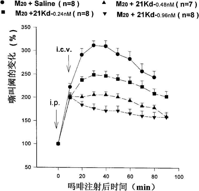 Active fragment of anti-opioid peptide