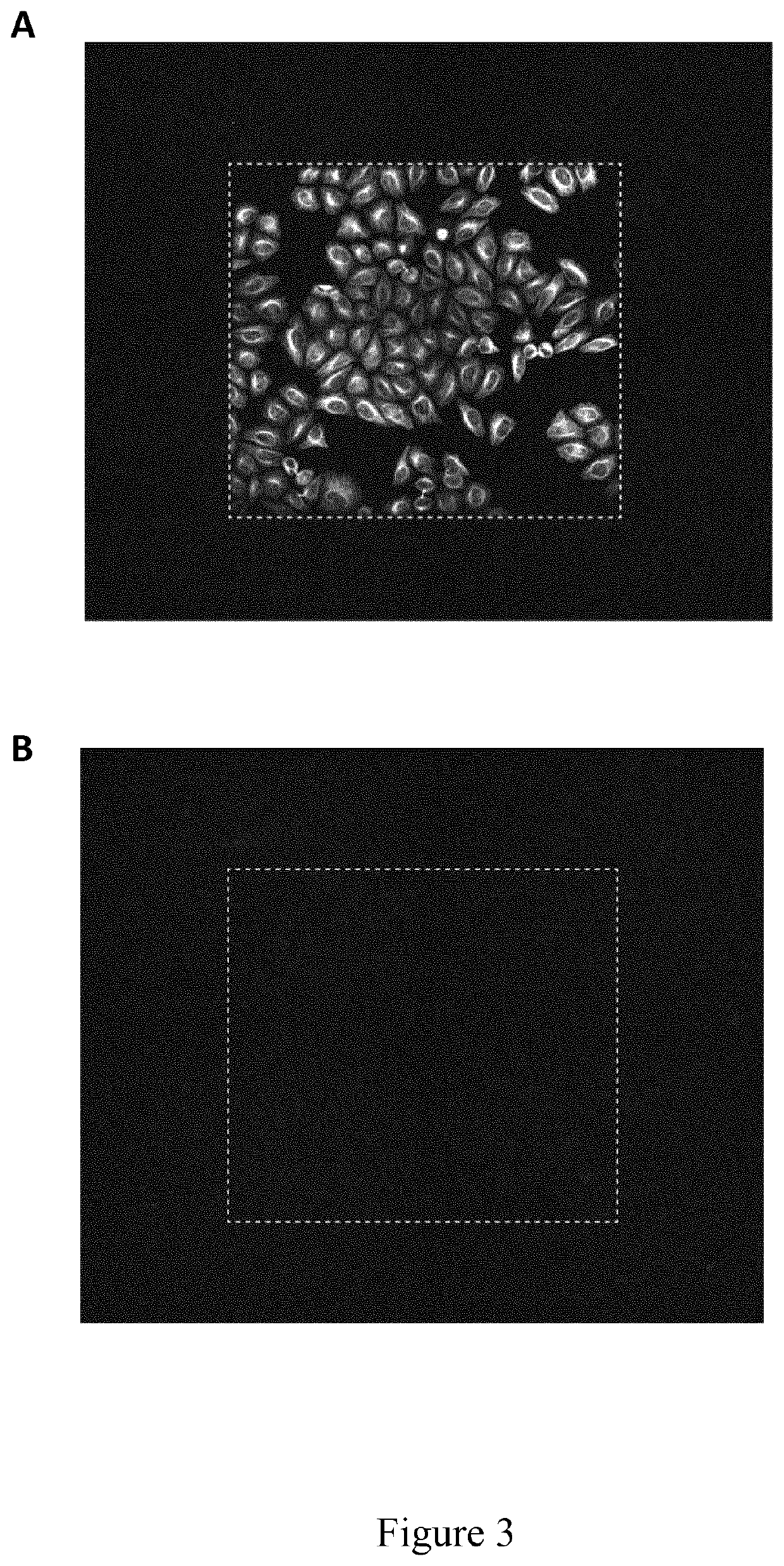 Methods of sample cycle multiplexing and in situ imaging