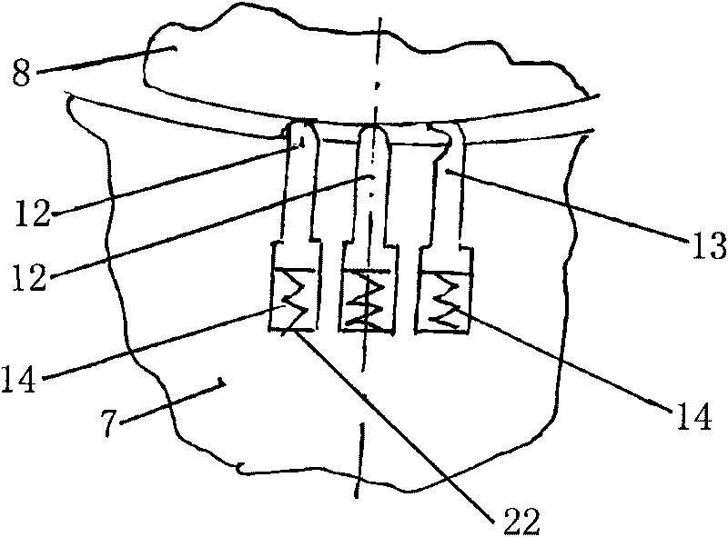 Rotary engine of oval cylinder