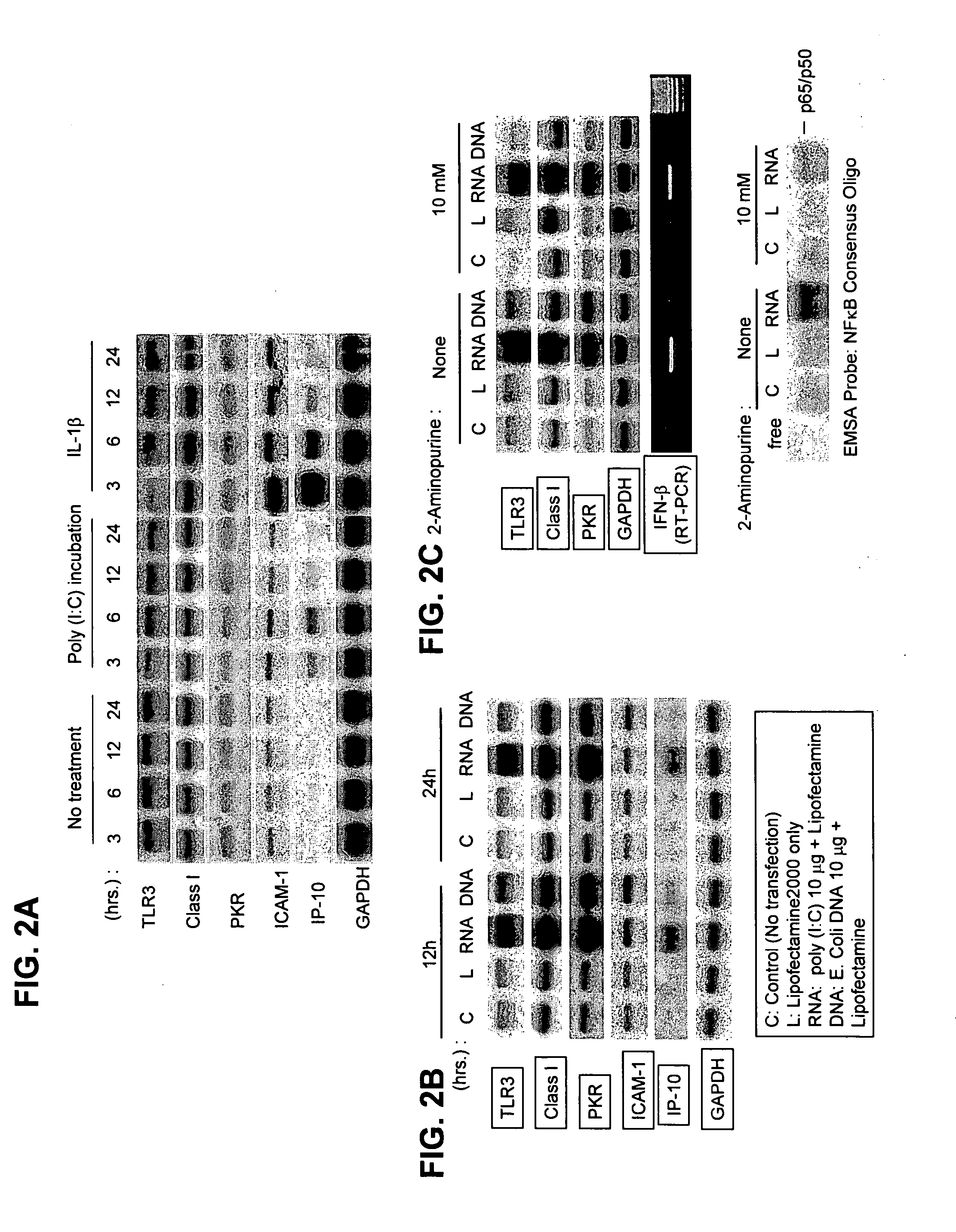 Use of phenylmethimazoles, methimazole derivatives, and tautomeric cyclic thiones for the treatment of autoimmune/inflammatory diseases associated with toll-like receptor overexpression