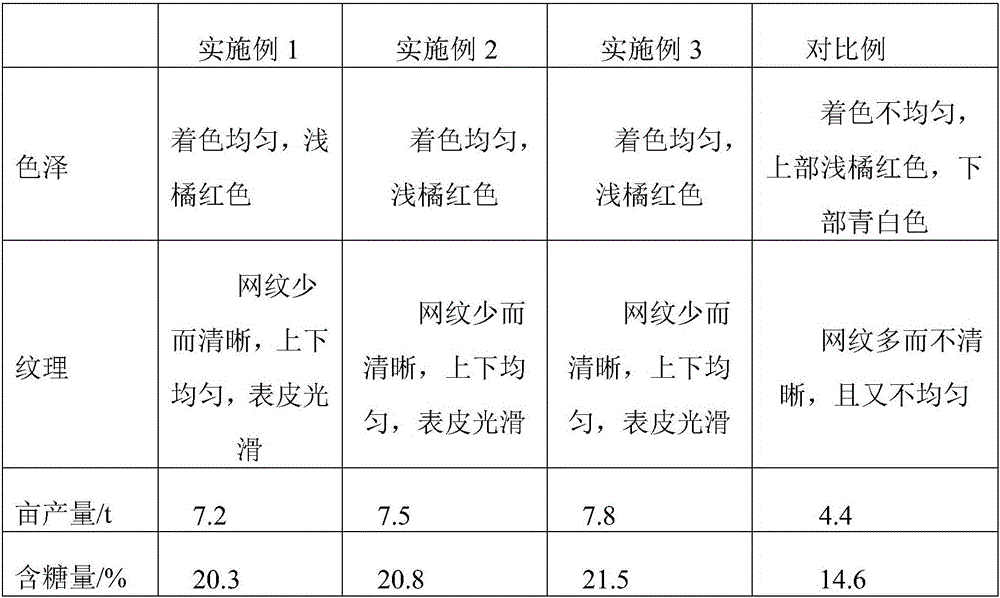 Planting method capable of increasing yield of Hami melon