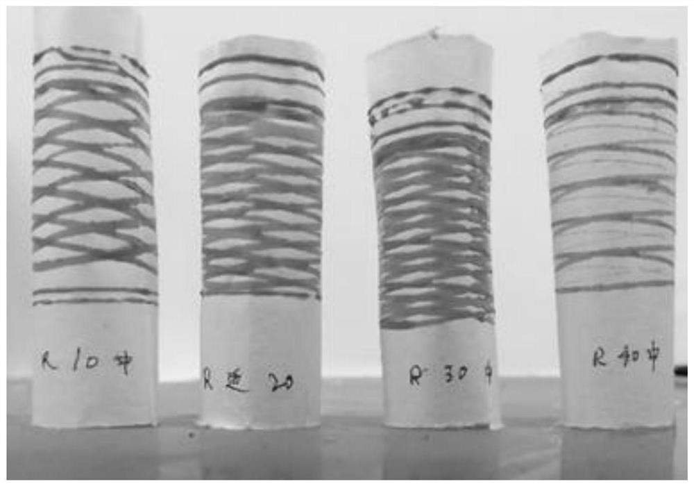 Preparation method of tanshinone Ⅱa vascular stent based on 3D printing