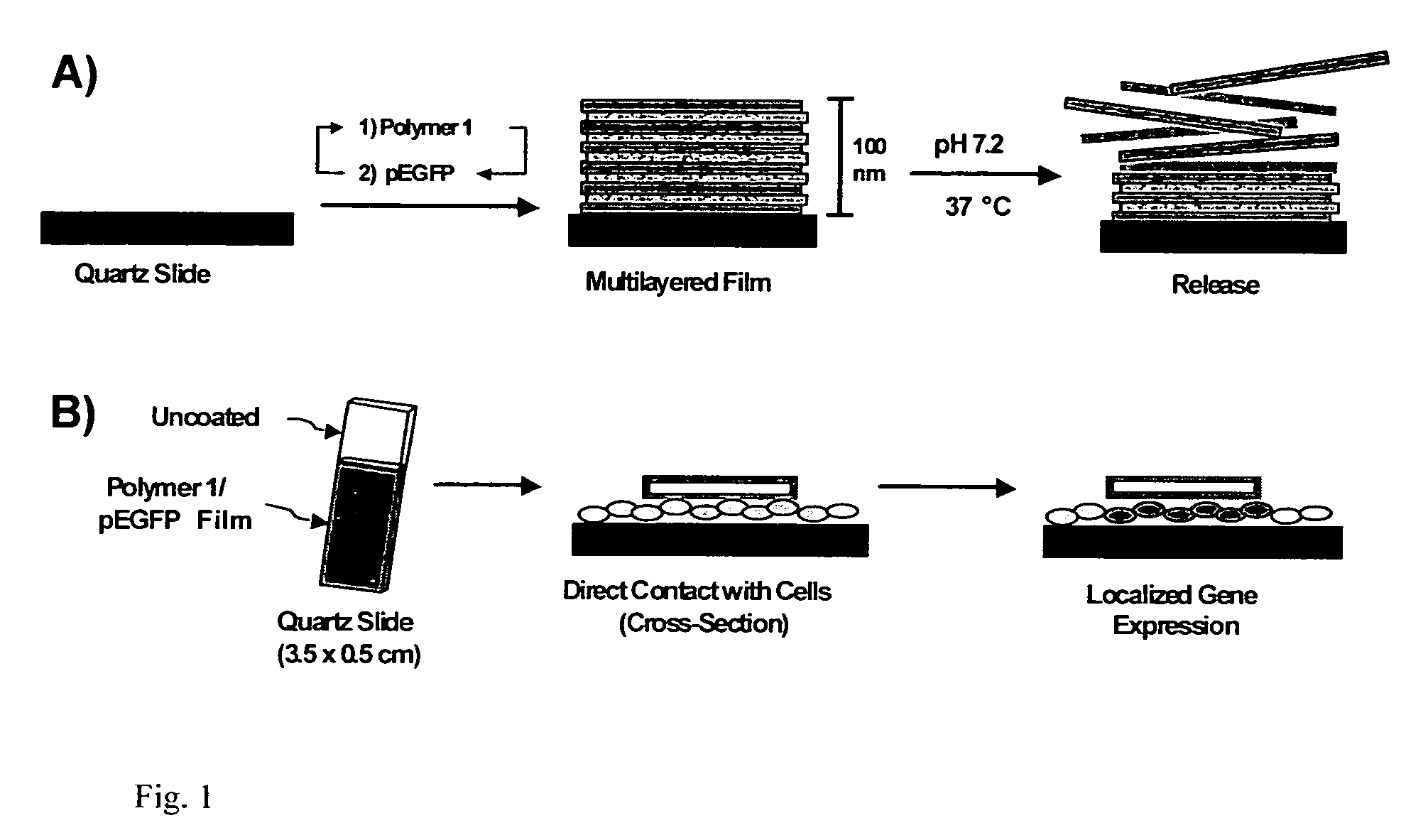 Localized delivery of nucleic acid by polyelectrolyte assemblies