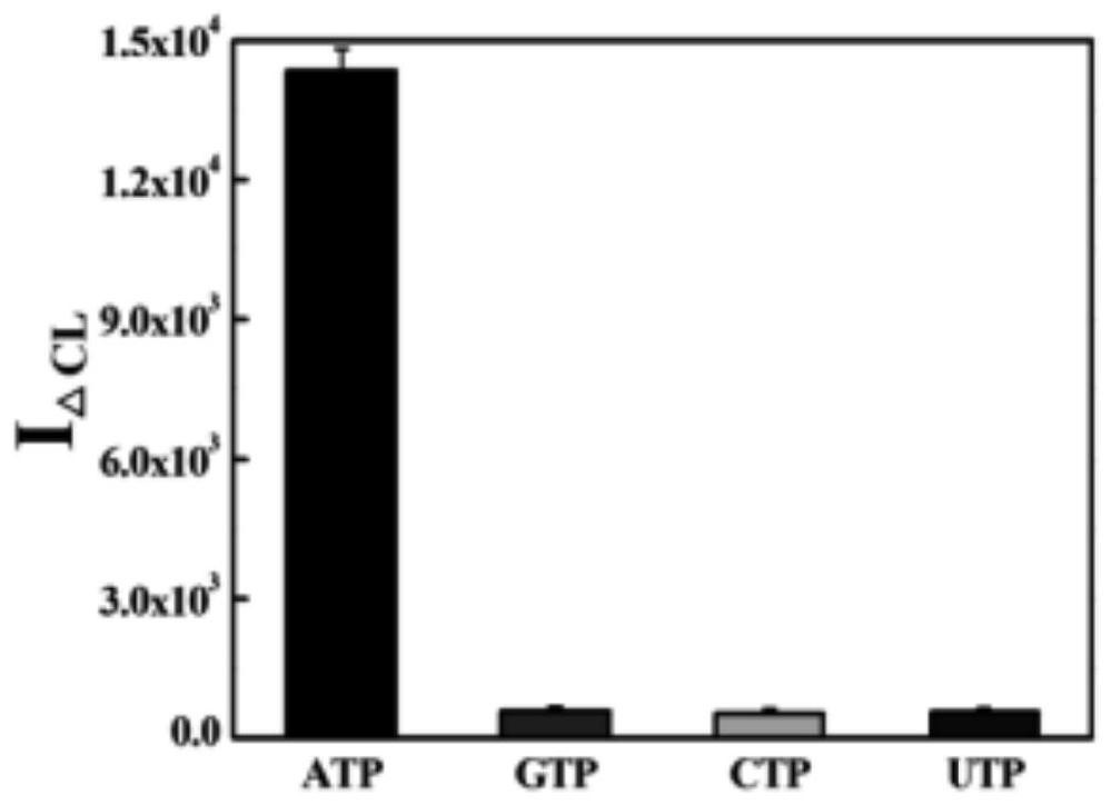 ATP chemiluminiscence detection method based on enzyme digestion assisted label-free aptamer sensor