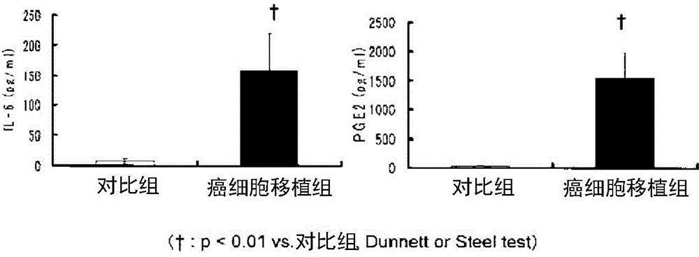 Composition for preventing and/or ameliorating cancer-related irreversible metabolism disorders