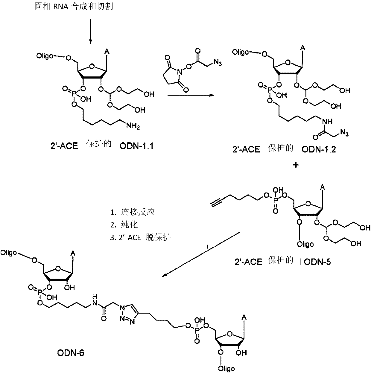 Synthetic single guide RNA for Cas9-mediated gene editing